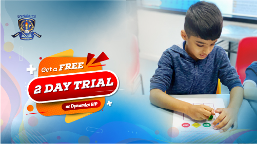 Get a Free 2 Day Trial at Dynamics EIP 